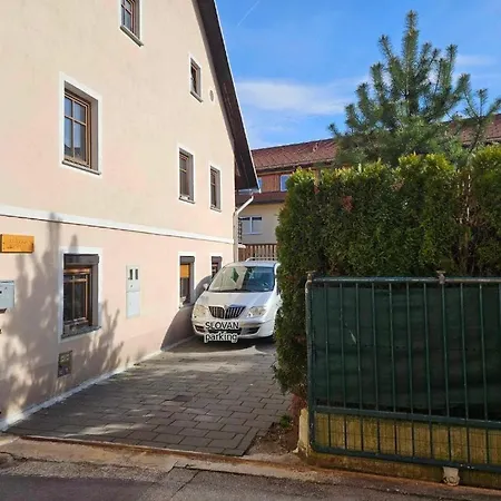 Slovan * Škofja Loka